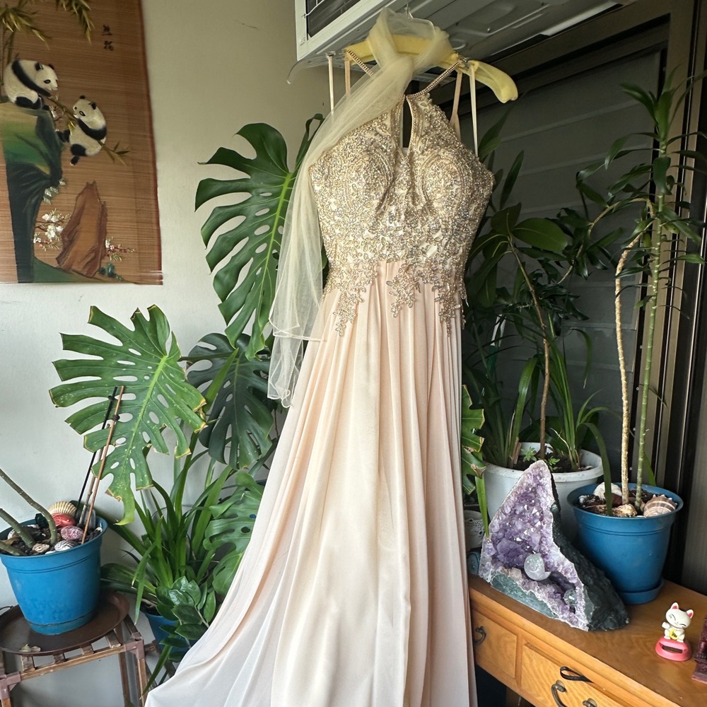 Elegant nude colored sequins gown